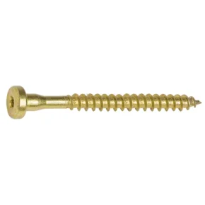 PH Screw 10 x 120 RICON S WALCO V80