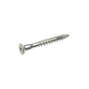 CS Screw GIGANT 10 x 80